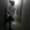 Photo of Idan S.