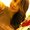 Photo of Ericka V.