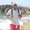 Photo of Ahmed H.