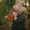 Photo of Wendi C.