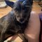 Photo of Kuma E.