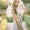 Photo of Sonam P.