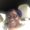 Photo of Brenda M.