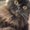 Photo of Ruthie M.