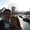 Photo of Laureen C.