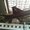 Photo of Ankit M.