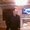 Photo of Alin F.