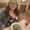 Photo of Monica S.