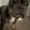 Photo of Arianna D.