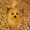 Photo of Ann Marie N.
