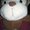 Photo of Berenice C.