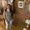 Photo of Laura S.