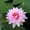 Photo of Elvina S.