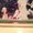 Photo of William M.