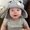 Photo of Jini Z.