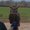 Photo of Aiden S.