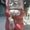 Photo of Adele S.