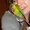 Photo of Renee L.
