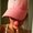 Photo of Mel O.