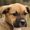 Photo of Dan S.