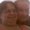 Photo of Cindy F.