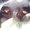 Photo of Cat F.