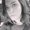 Photo of Gracey S.