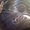 Photo of Keoni F.