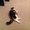 Photo of Jack P.