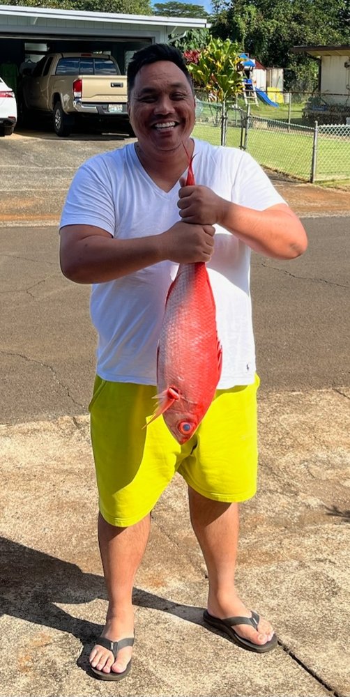 Yelp user Michael M.