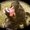 Photo of Amy M.