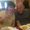 Photo of Teena S.