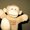 Photo of Monkey M.
