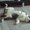 Photo of Briana D.