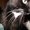 Photo of Crissy K.