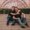 Photo of Scott T.