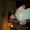 Photo of Zach K.
