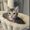 Photo of Lexy M.