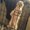 Photo of Mckenna M.