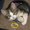 Photo of Qype User (ewoodg…)