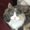 Photo of Chloe F.