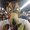 Photo of Abhi L.