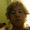 Photo of Adam S.