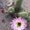 Photo of Poppy F.