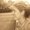 Photo of Jaclyn O.