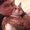 Photo of Dalene G.