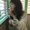 Photo of O Livia M.