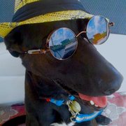 google avatar
