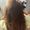 Photo of Carissa F.