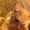 Photo of Viki G.